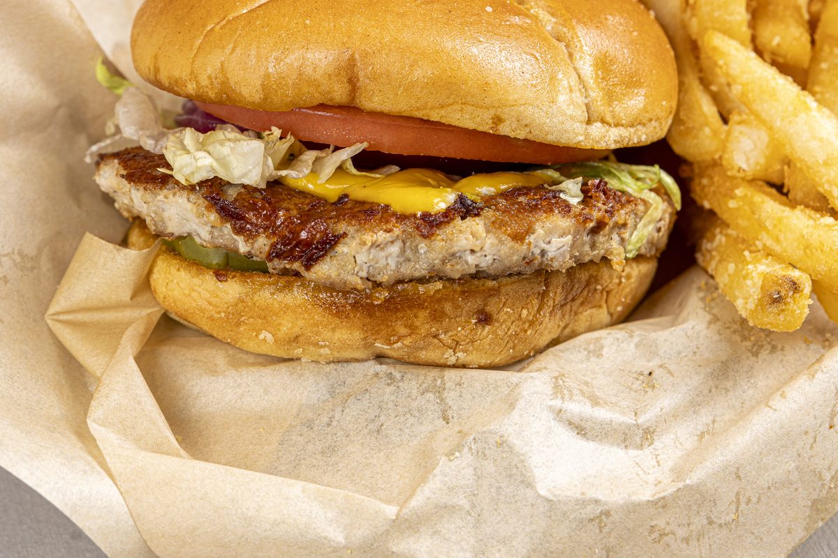 M2GO turkey burger with fries